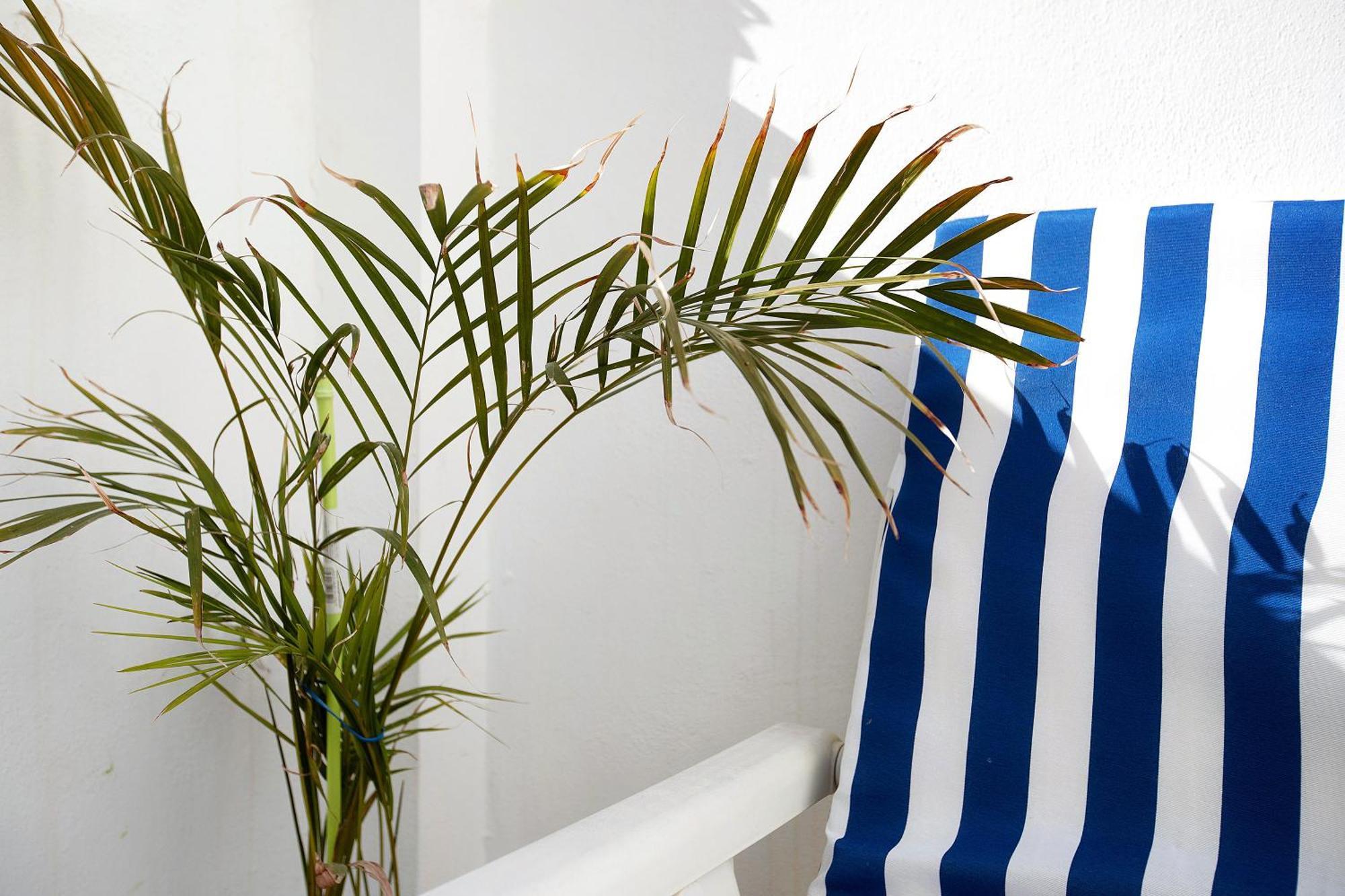 La Caleta Apartman La Cala De Mijas Kültér fotó